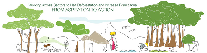 Working across Sectors to Halt Deforestation and Increase Forest Area