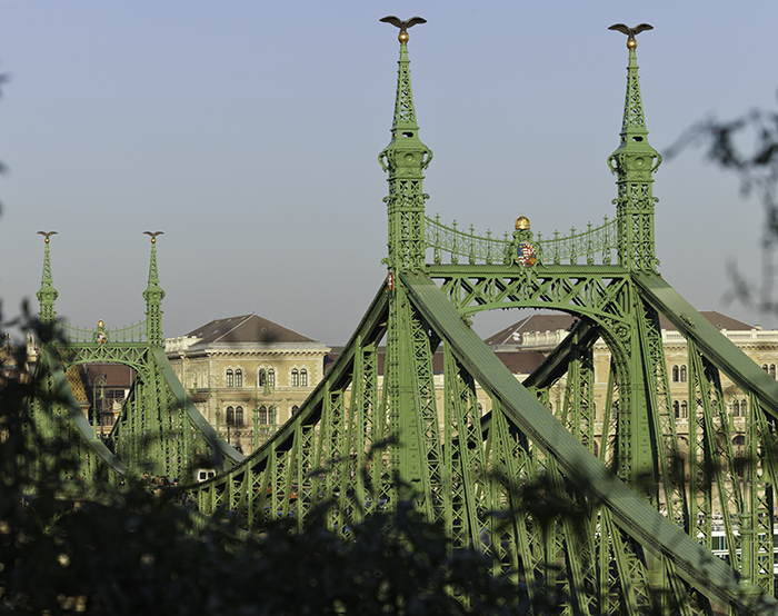 View of the Liberty Bridge in Budapest