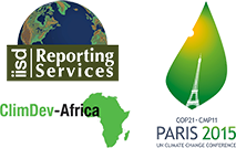 Pavillon Africain à la COP 21