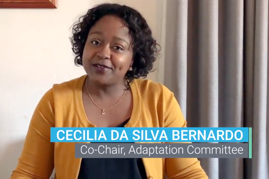 Cecilia da Silva Bernardo (Angola), Adaptation Committee Co-Chair