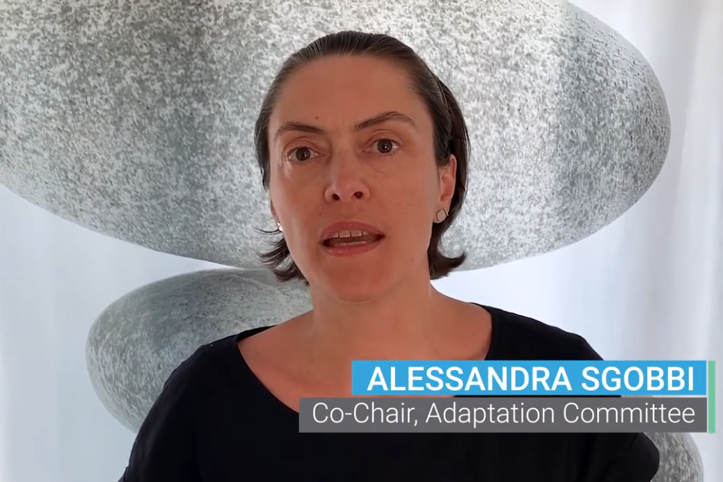 Alessandra Sgobbi (Italy), Adaptation Committee Co-Chair