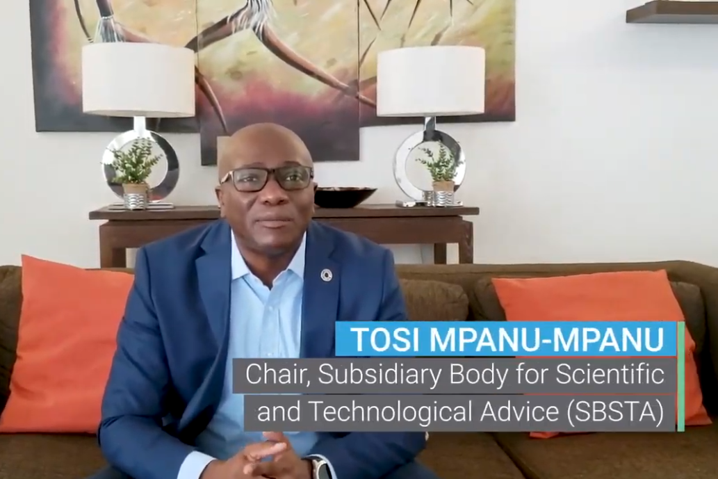 Tosi Mpanu-Mpanu (Democratic Republic of the Congo), Subsidiary Body for Scientific and Technological Advice (SBSTA) Chair