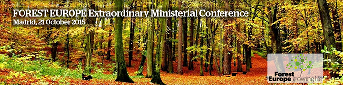 Extraordinary Ministerial Conference