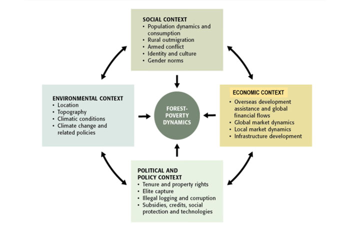 Contextual Factors Shaping Forest-Poverty Dynamics