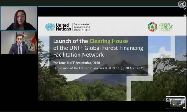 Launch of the Global Forest Financing Facilitation Network Clearinghouse forest-finance.un.org