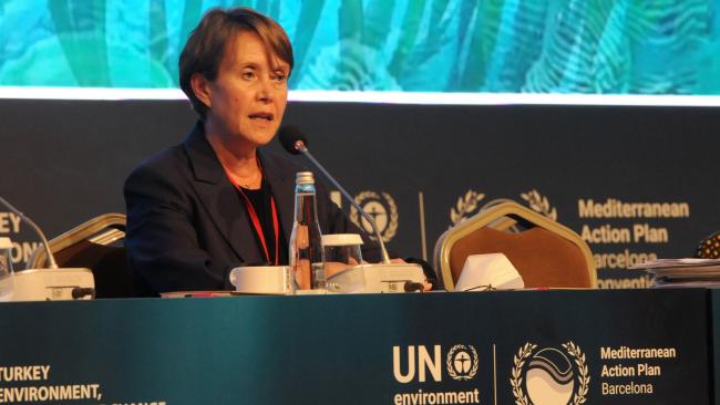 Kerstin Stendahl, Head of Ecosystems Integration Branch, UNEP