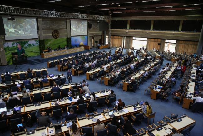 Delegates gather for the opening of UNEA5.2
