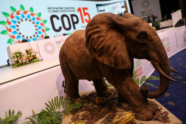Elephant of COP15