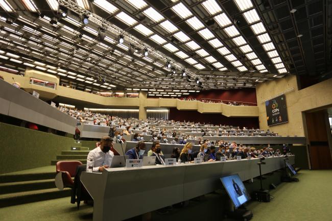 view of the room 2 - Basel Convention COP15-6June2022-Photo