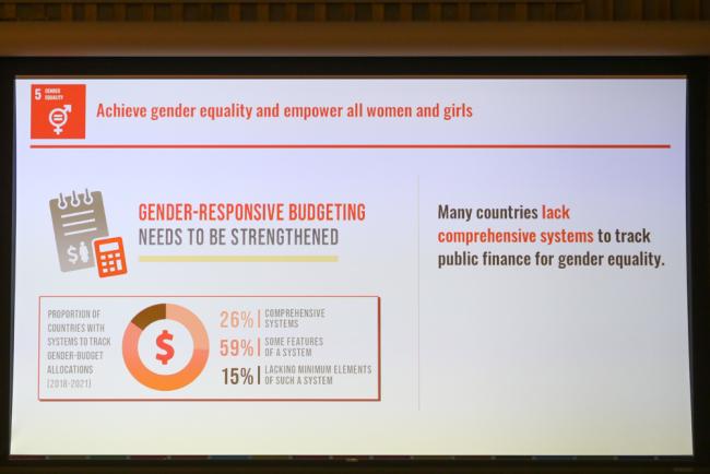 Gender responsive budgeting needs to be strengthened