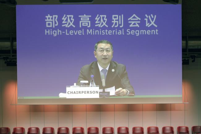 Guan Zhiou, Chair, Administrator, National Forestry and Grassland Administration of China
