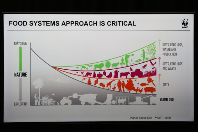 Food systems approach is critical