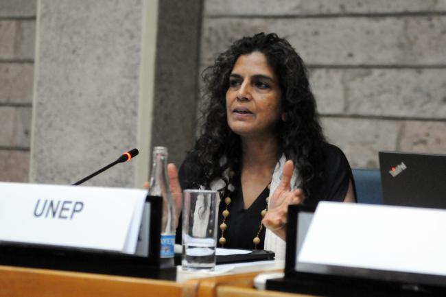 Sheila Aggarwal-Khan, UNEP Director Industry and Economy Division