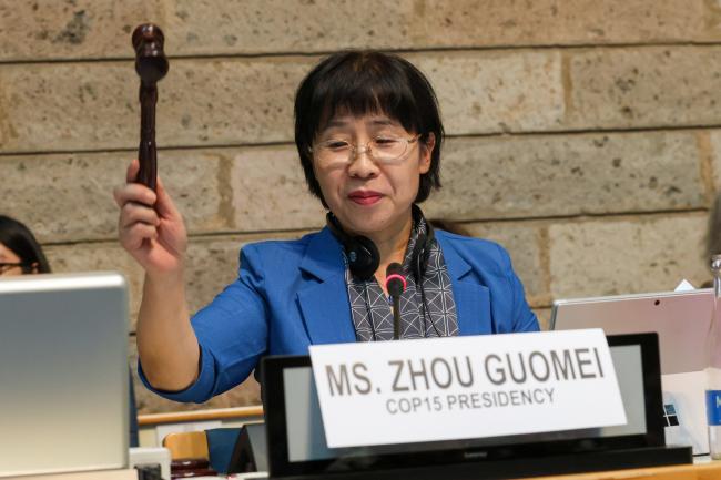 Zhou Guomei, speaking for the COP 15 President