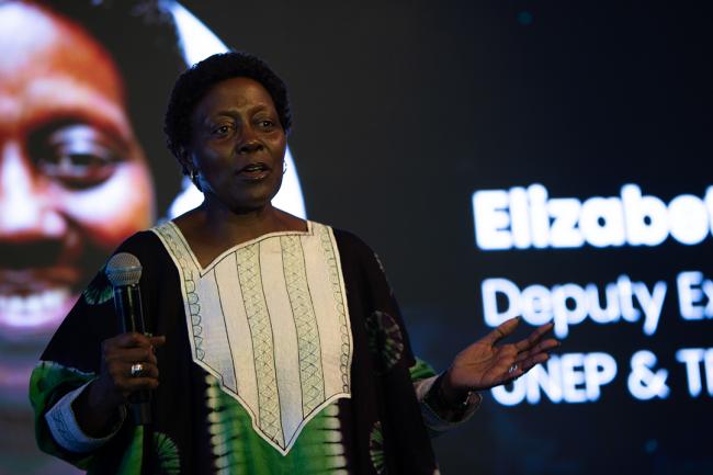 Elizabeth Mrema Deputy Executive Director, UNEP