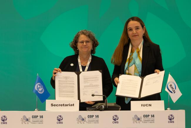 Amy Fraenkel, CMS Executive Secretary, and Grethel Aguilar, IUCN Director-General, sign a Memorandum of Understanding (MOU) to support priority work under the African Carnivore Initiative