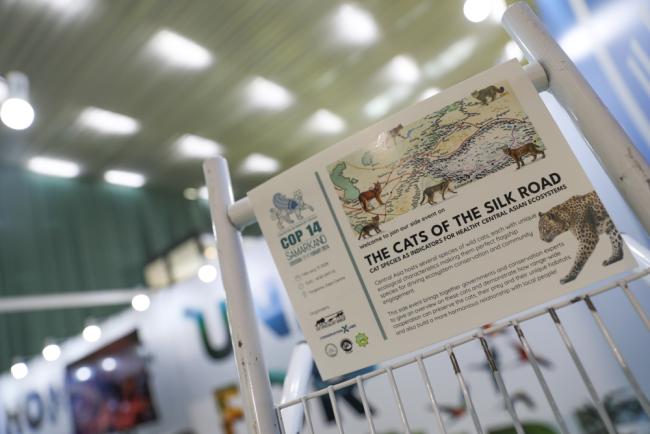 Various species come under focus as CMS COP14 continues for its second day