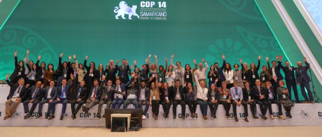 The CMS Secretariat and Uzbek organising teams celebrate the closure of CMS COP14