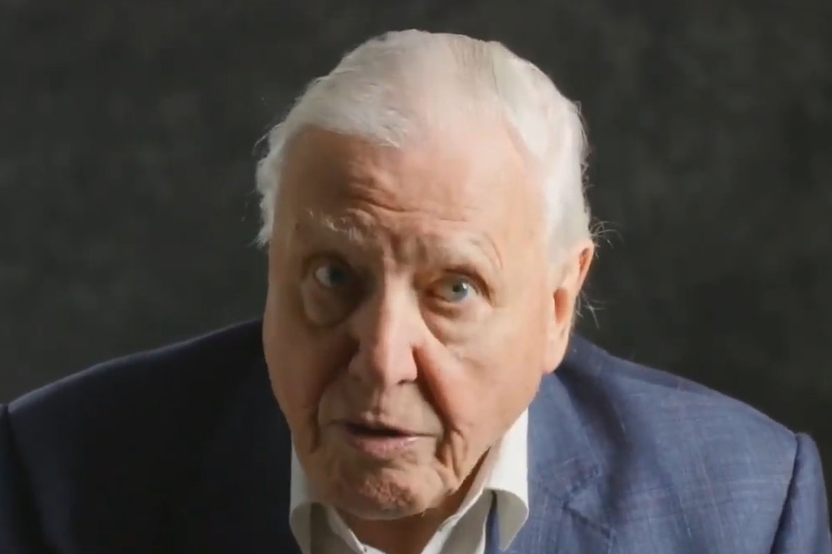 David Attenborough, narrator, presenter, producer and natural historian