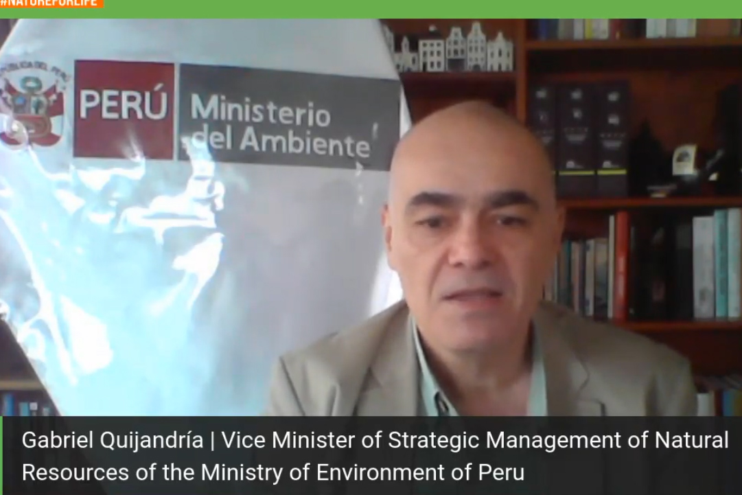 Gabriel Quijandria, Vice Minister of Strategic Development of Natural Resources, Peru