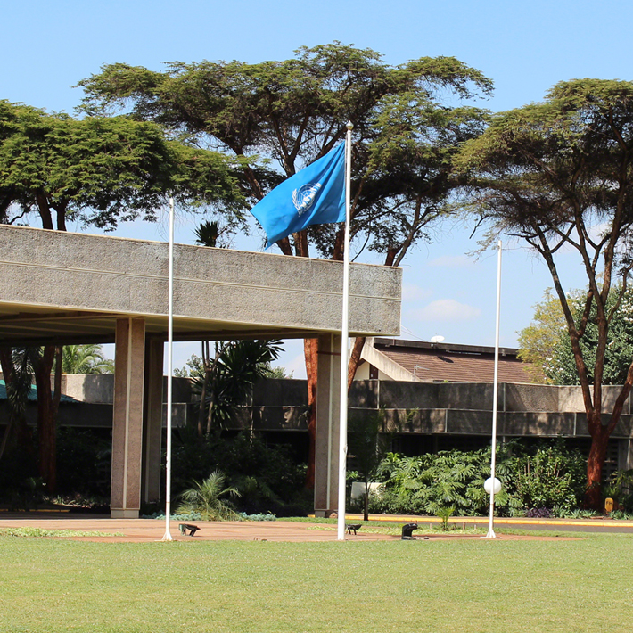 Flags in front of the UN Offices in Nairobi.