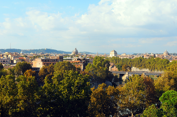 A view of Rome near FAO