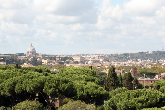 A view of Rome near FAO