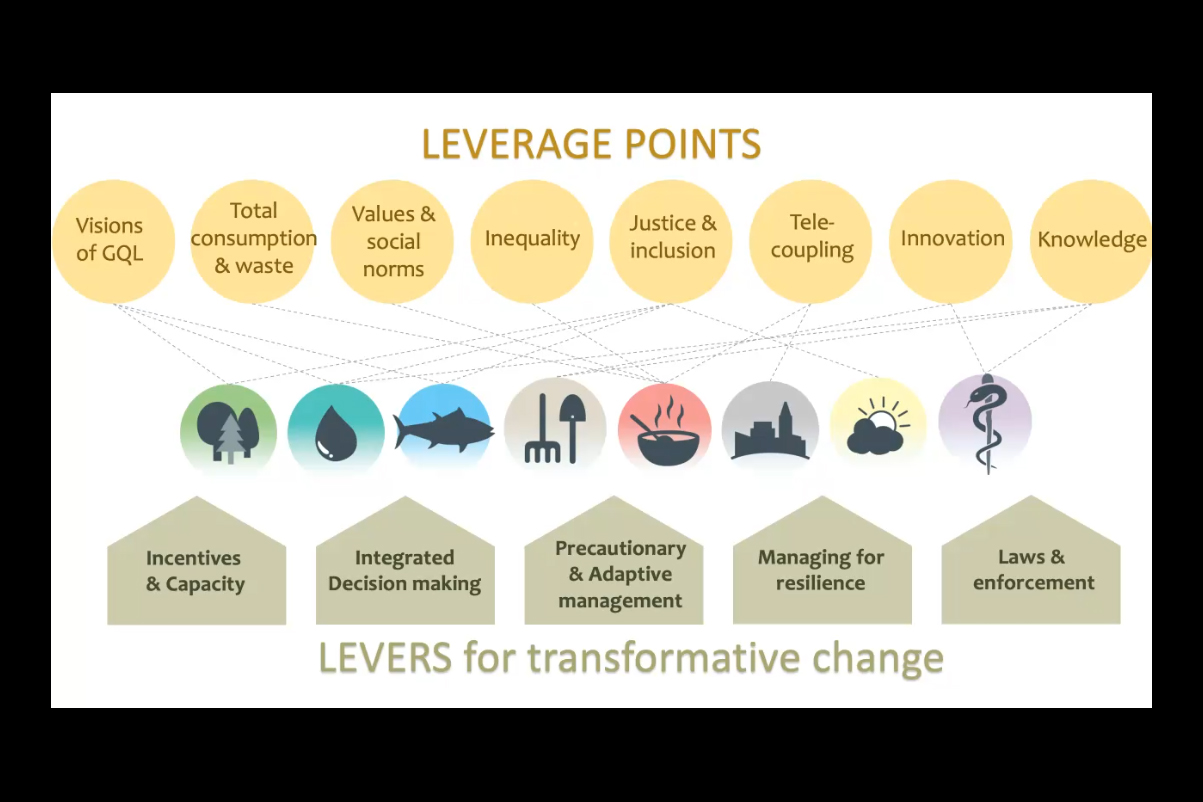 The Fifth Global Biodiversity Outlook presents levers for transformative change to bend the curve of biodiversity loss.