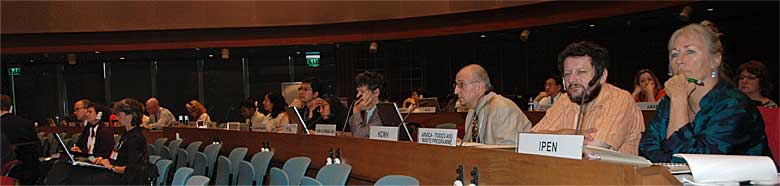 Delegates of NGOs in the plenary room.