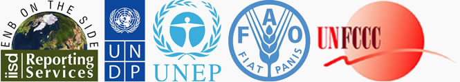 IISDRS - UNDP - UNEP - FAO - UNFCCC