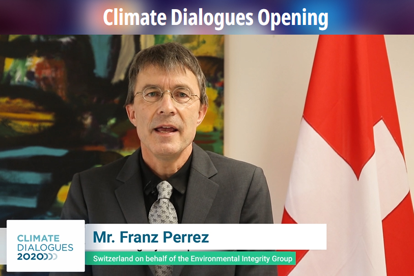 Franz Perrez, Switzerland, on behalf of the Environmental Integrity Group