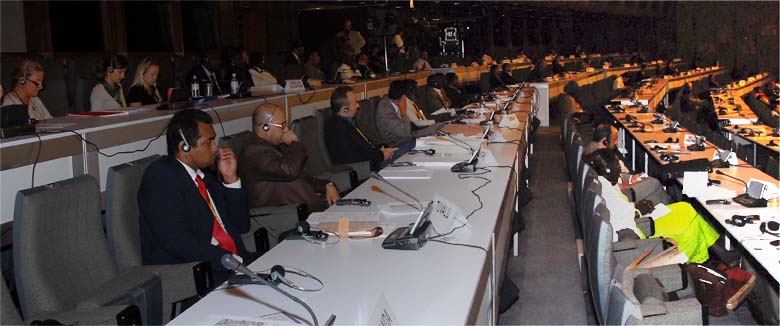 Delegates in the plenary room