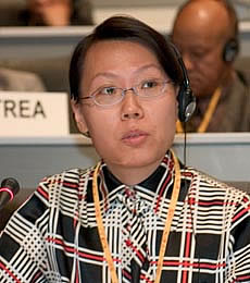 Liu Xin, China endorsed making the CRIC a permanent body.