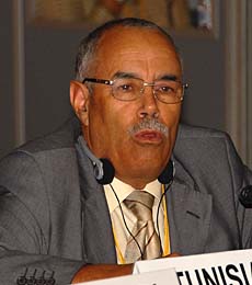 Mohamed Ismail, Tunisia