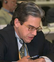 Fernando Coimbra, Brazil