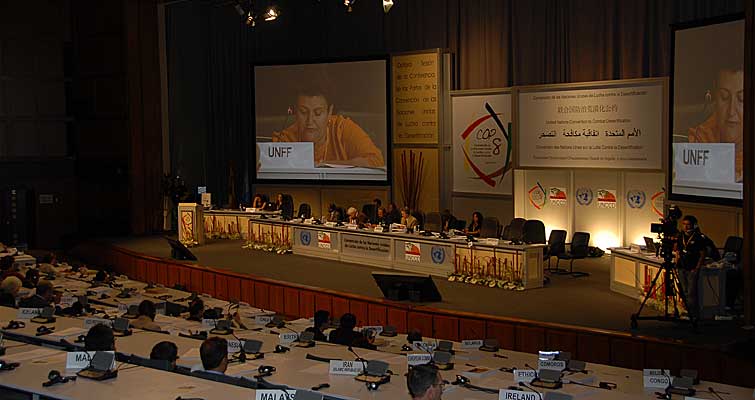 The plenary room during the session.