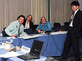 Delegates of the contact group on the ten-year strategy.