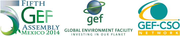 5th GEF Assembly