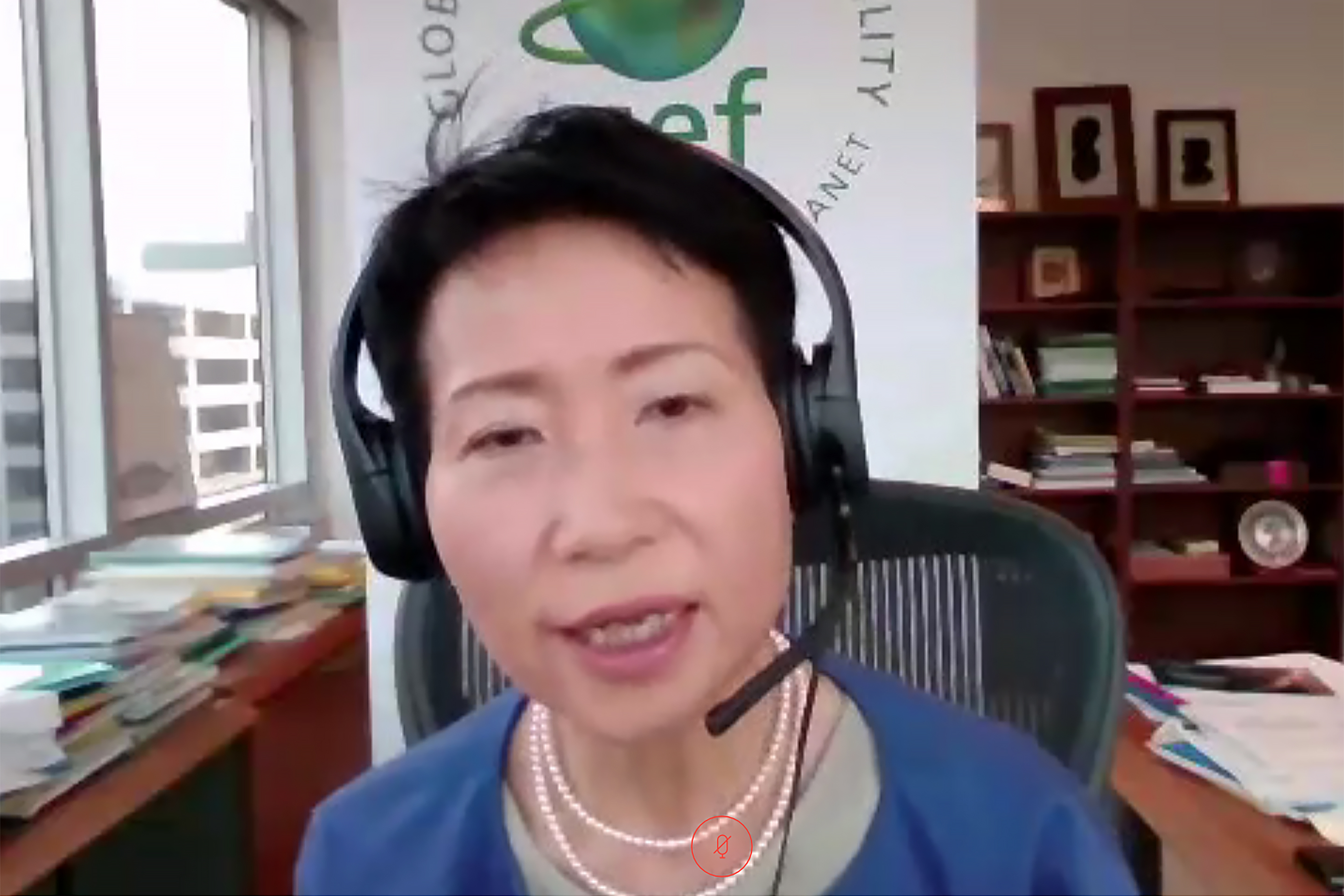 Naoko Ishii, GEF CEO and Chairperson