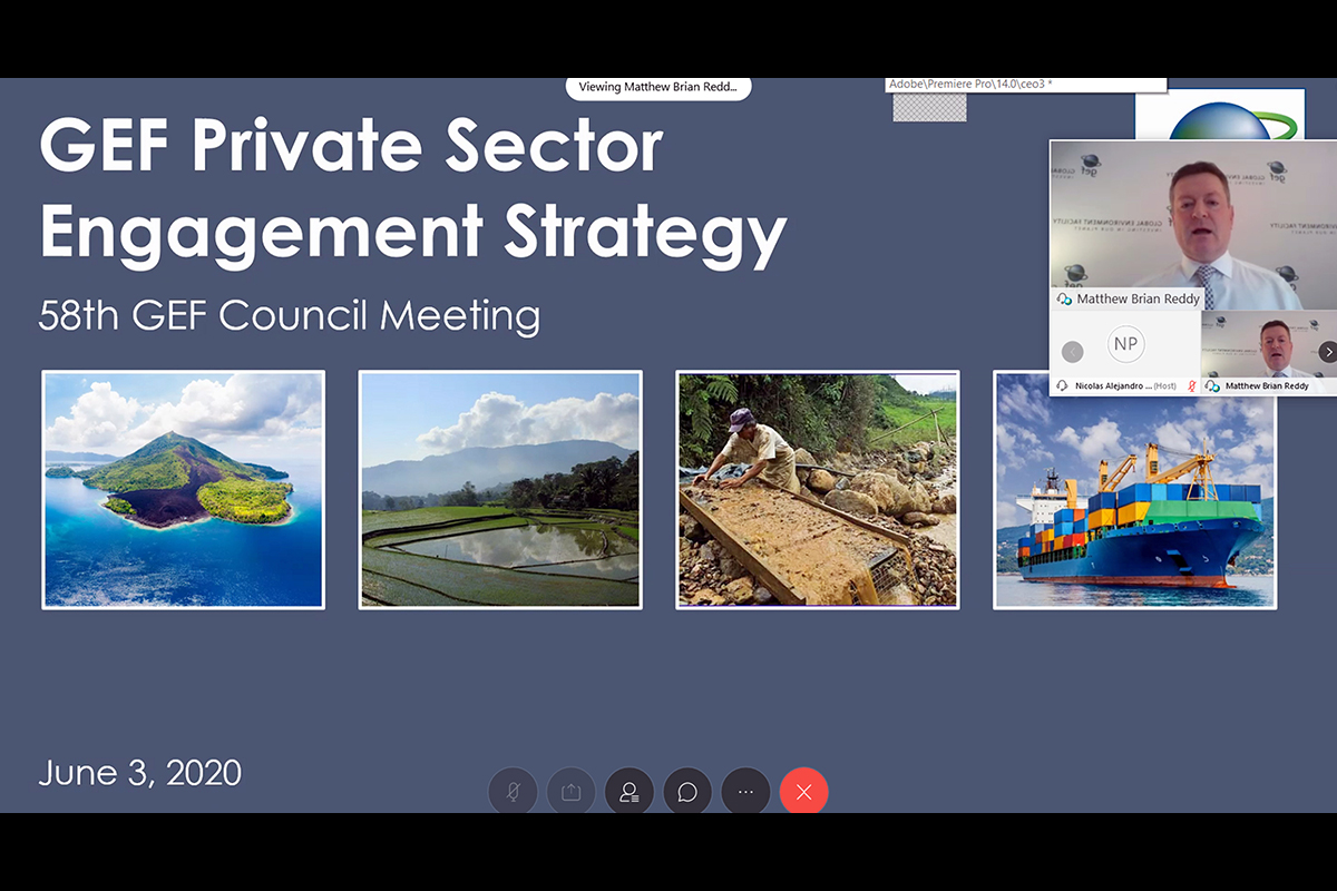 Report on the Private Sector Engagement Strategy