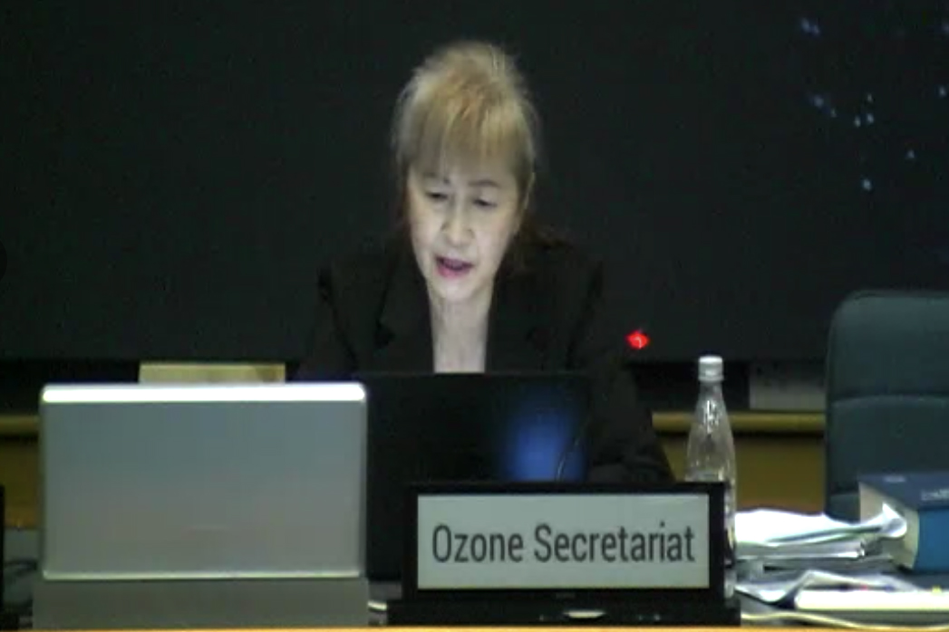 Meg Seki, Acting Executive Secretary, Ozone Secretariat
