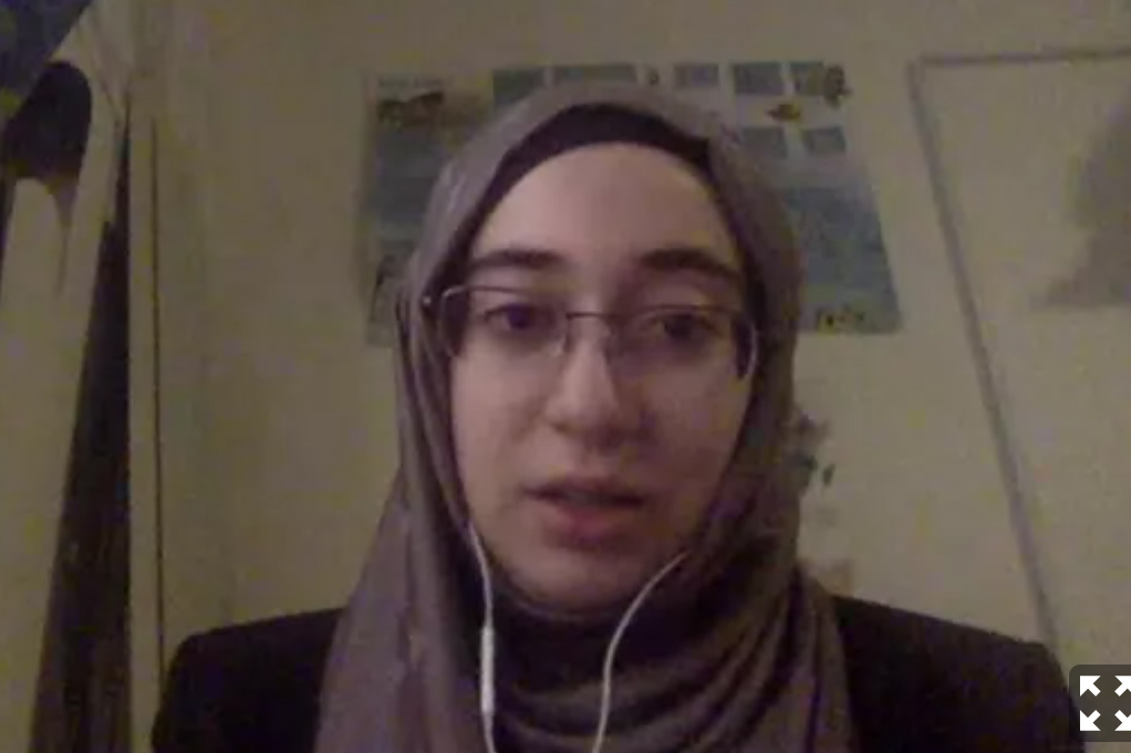 Implementation Committee President Maryam Al-Dabbagh, Saudi Arabia