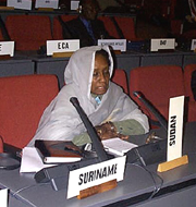 Delegate of Sudan