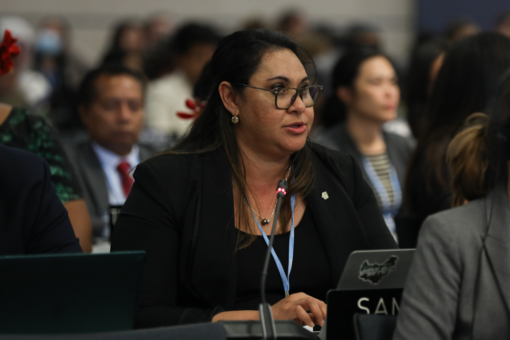 Anne Rasmussen, Samoa, on behalf of the Alliance of Small Island States ...