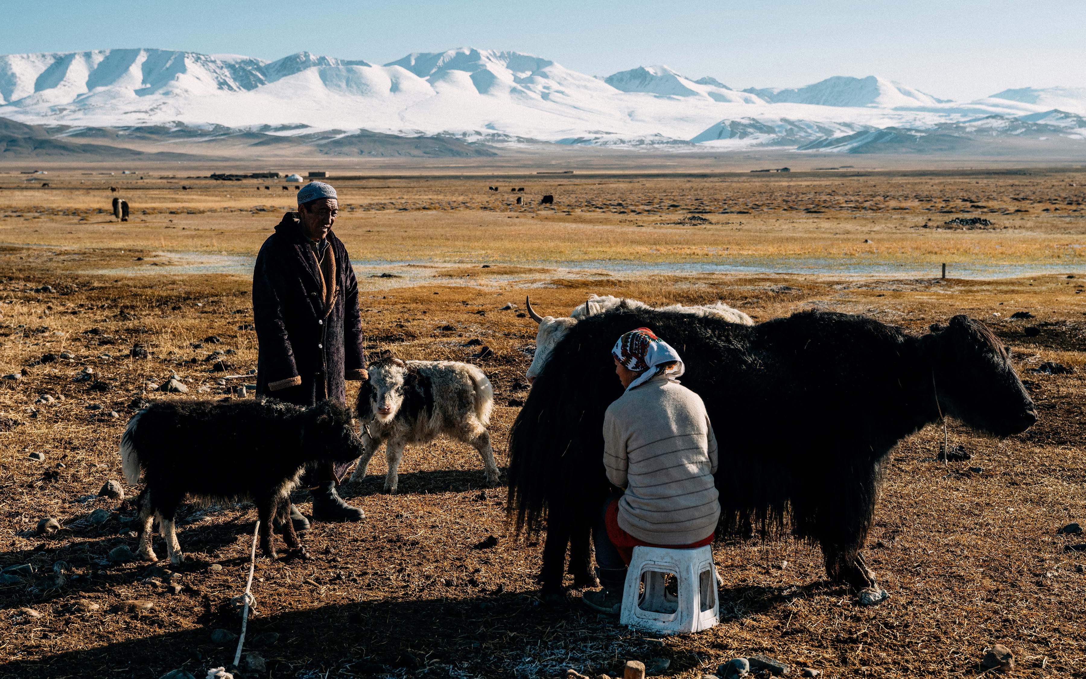 Daily life near the Altai Mountains of Mongolia