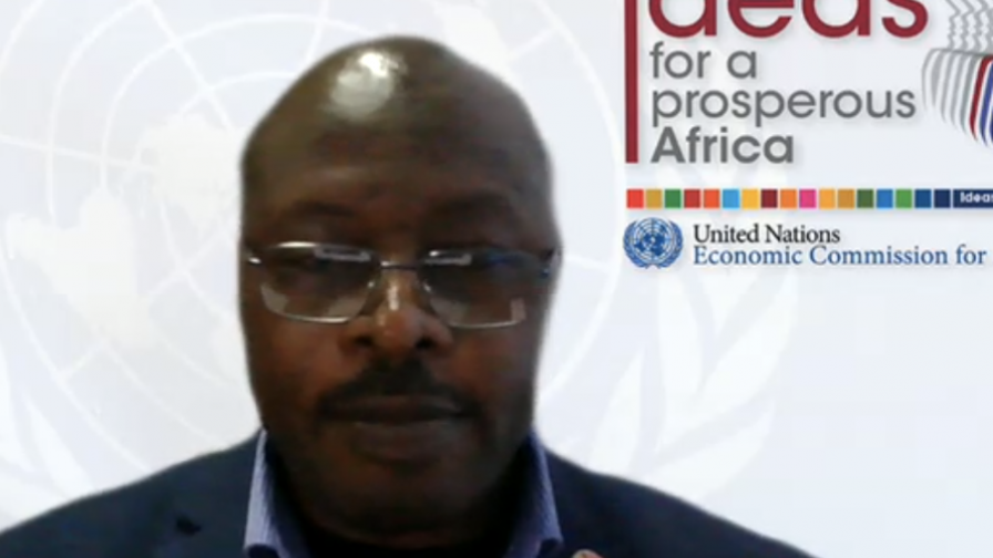 Linus Mofor, Senior Environmental Affairs Officer, UN Economic Commission for Africa