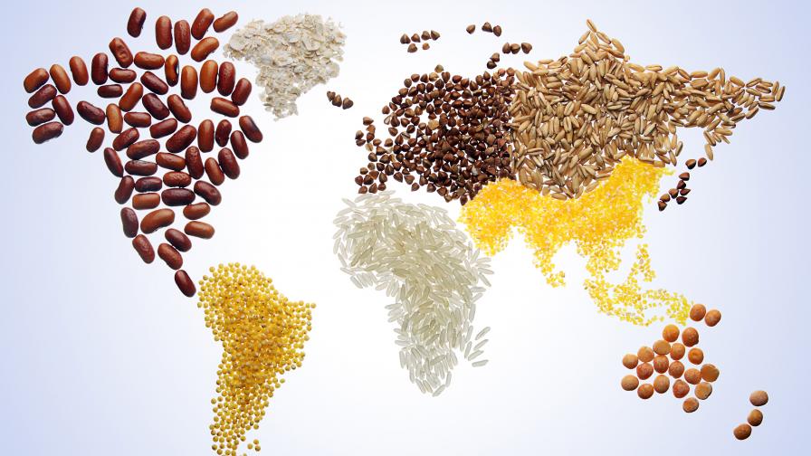World map with various grains