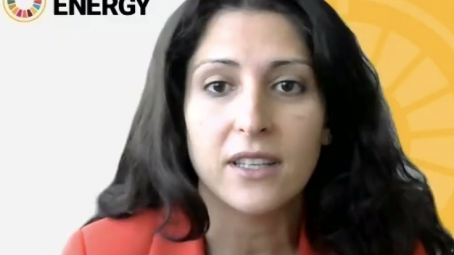 Rana Ghoneim, Chief, Energy Systems and Infrastructure Division, UNIDO