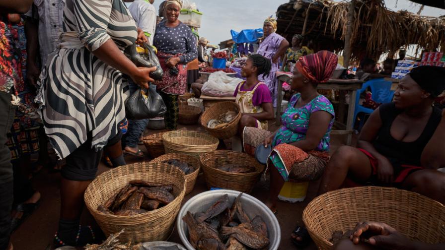 African fish market