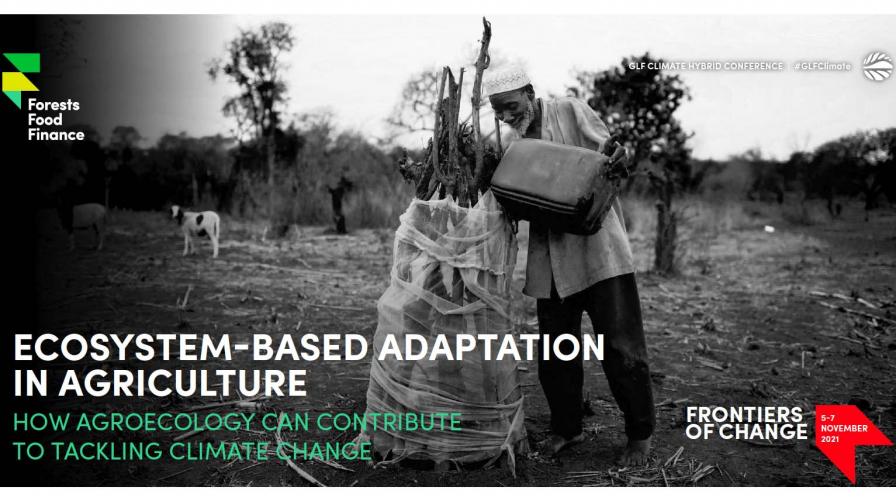 Agroecology: Ecosystem-based Adaptation in Agriculture